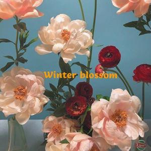 Winter Blossom