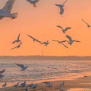 稻香飘过的田野