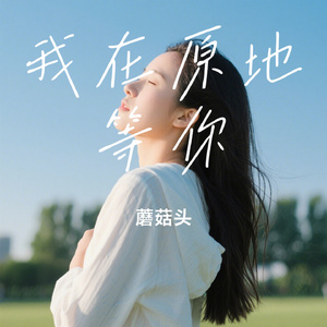 我在原地等你