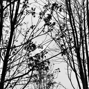 角色（prodbyNinez）