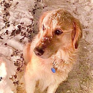 Your Song (feat. D1v)