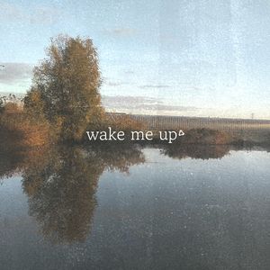 Wake Me Up (Orange Purple Remix)
