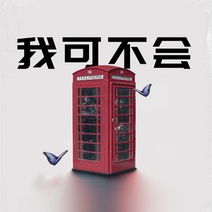 我可不会
