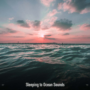 Serene Waves of Tranquility