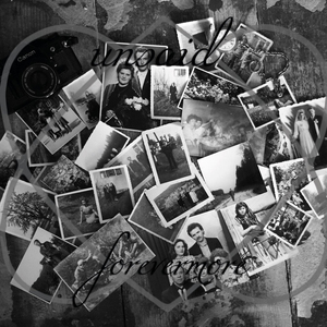 Down We Go Together