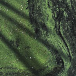 Can't Figure Out Why