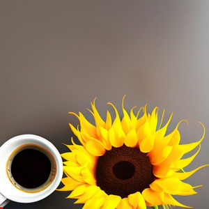 In This Epic Kansas (Live)