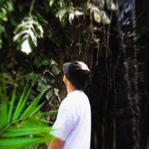 Jungle Paradise
