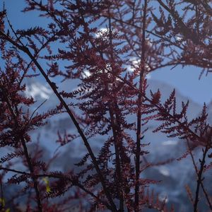 回路（Prod by D.C.C)