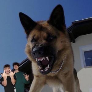 far from here (feat. cay9ine)