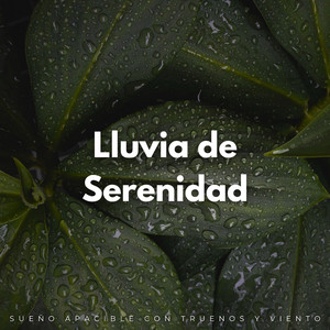 Los Susurros Calmantes Del Viento
