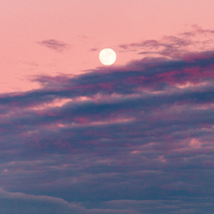 太陽和她都聽懂浪漫（PROD NEONMUSIC)