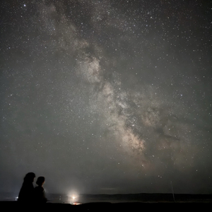 가짜인생 (feat. 단비 (danbeetrifolium), NEouL)