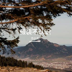 假装不认识