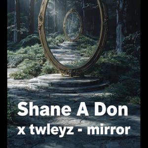 Mirror (feat. Twleyz)
