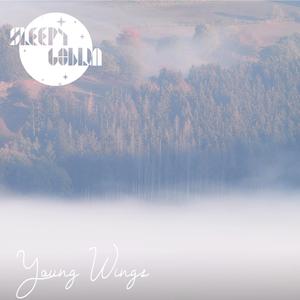 Young Wings