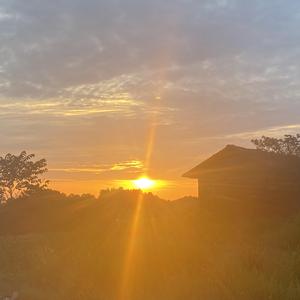 真没睡(翻自姜云升）