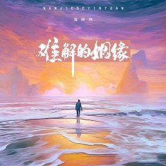 难解的姻缘 (DJ阿本版)