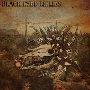 Black Eyed Lilly