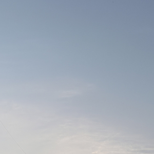 沉默着把爱埋葬