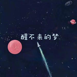 醒不来的梦（Prod.Red Killer）