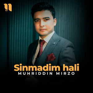 Sinmadim hali