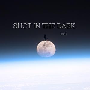 Shot In The Dark (Instrumental)