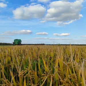 再见（prod.by Morrow）