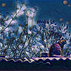 Let Me Down Slowly（BY:遥啊遥）