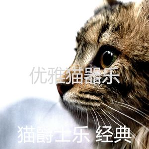 柔和的猫在家时刻