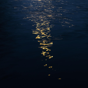 shallows