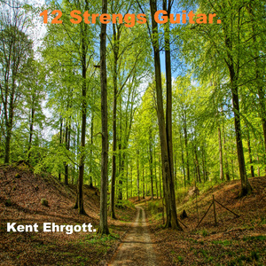 Den Gyldne Guldsmed.