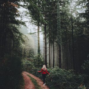 Raining Mood – Loop for Sleep and Relax