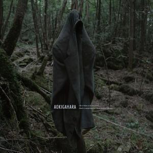 Aokigahara
