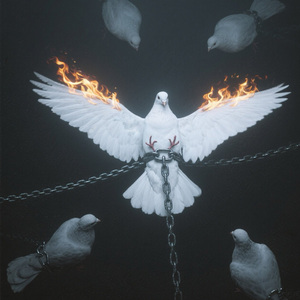 毛胚房（feat kvein）