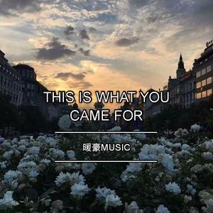 Calvin Harris-This Is What You Came For（暖豪Music remix）