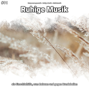 Ruhige Musik, Pt. 92