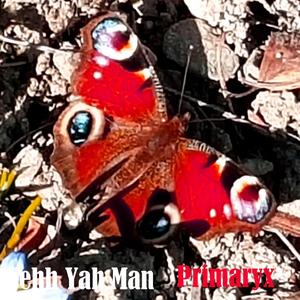 EEHH YAH MAN (Radio Edit)