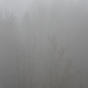 Deep Trauma (Original Mix)