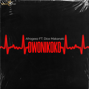 Owonikoko