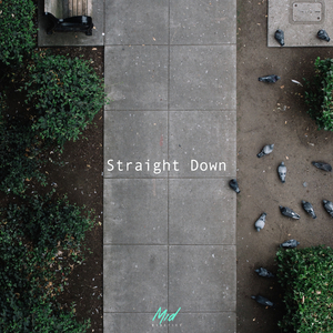 Straight Down (Original Mix)