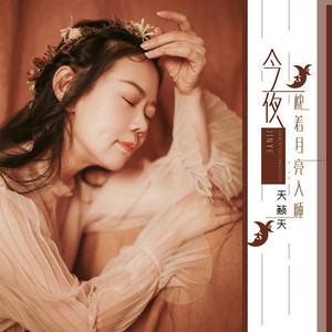 今夜枕着月亮入睡