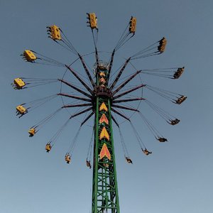 不再相遇不再联系（闷猪）