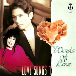 I Love You More Than I Can Say