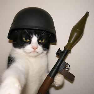 雪地里传来哈基米