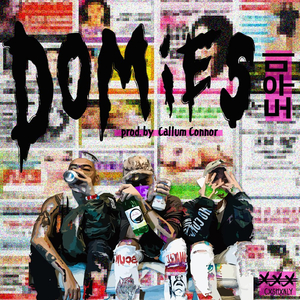도우미 Domies