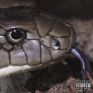 臭鱼烂虾Freestyle