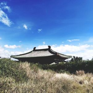 寂寞沙洲冷(DJ版)