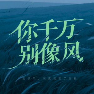 你千万别像风