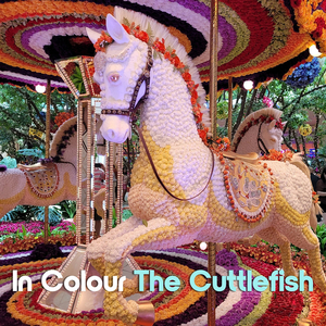 In Colour
